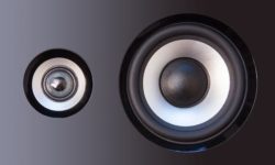 Creating the Ultimate Customer Experience with Commercial Audio Speakers